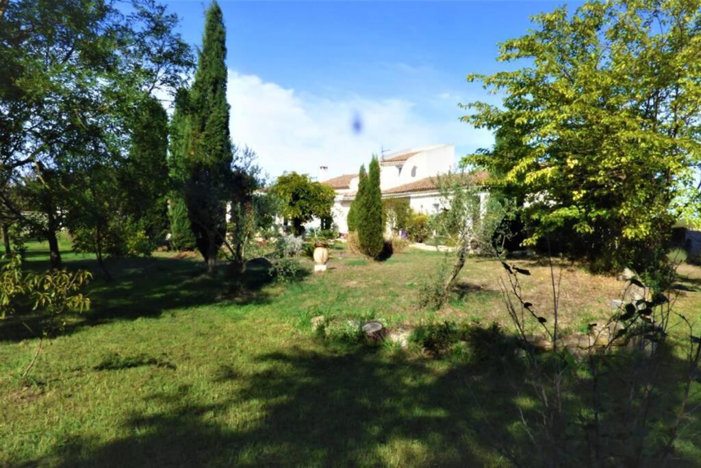 Ibis - Villa Avec Piscine, Jardin Et Parking Arles Exteriör bild