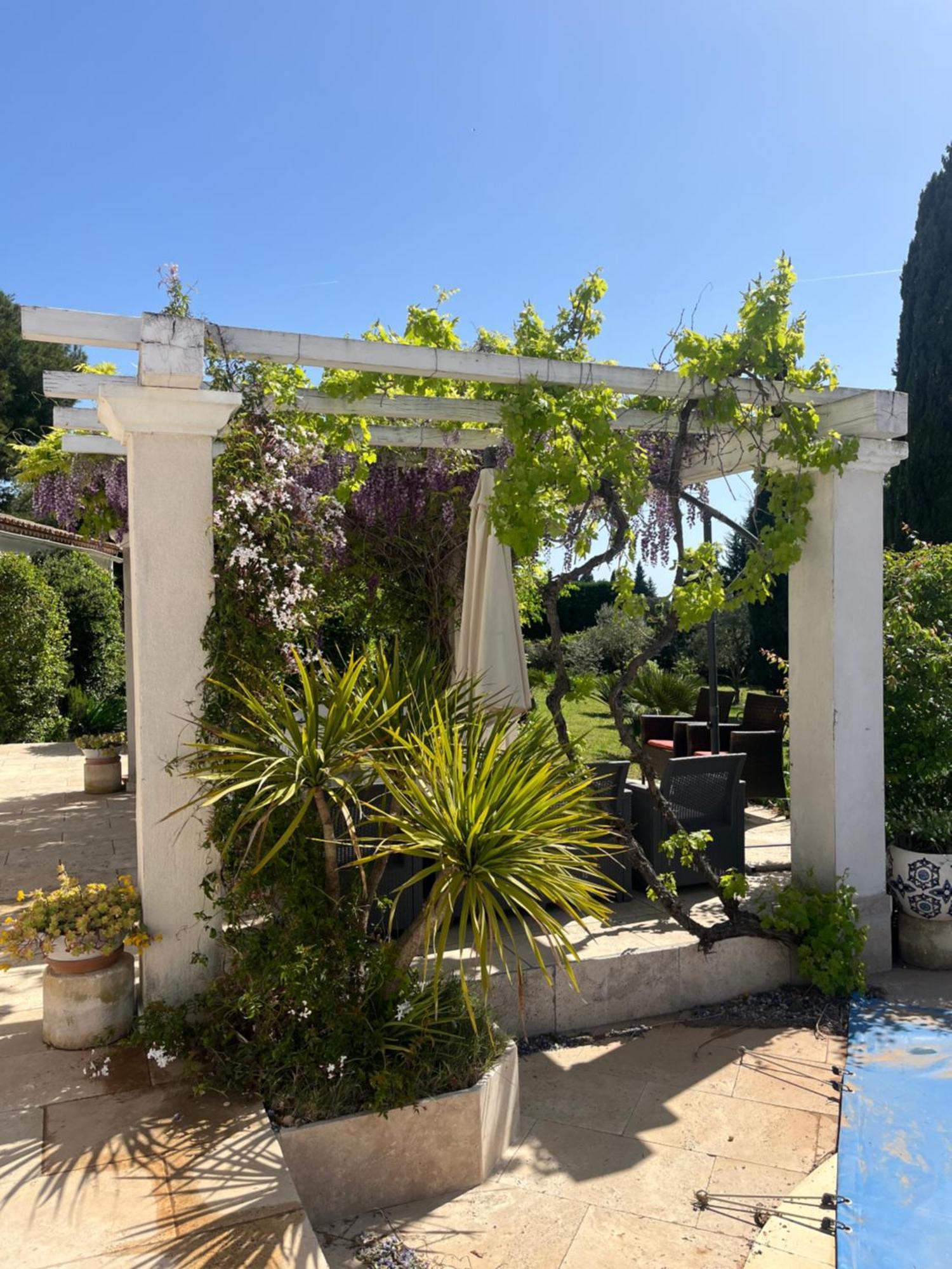 Ibis - Villa Avec Piscine, Jardin Et Parking Arles Exteriör bild